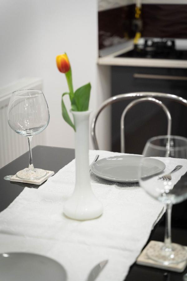 Isaran Coresi Apartment Μπρασόβ Εξωτερικό φωτογραφία