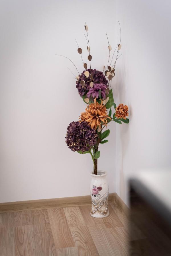 Isaran Coresi Apartment Μπρασόβ Εξωτερικό φωτογραφία